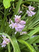IMG_6689.jpeg