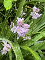 IMG_6689.jpeg