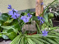 IMG_6682.jpeg