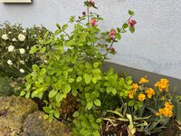 IMG_6679.jpeg