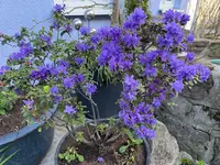 IMG_6622.webp
