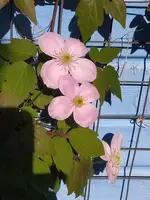 IMG_20250430_162018.webp