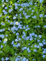 IMG_20250430_161955.webp