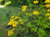 IMG_20250430_161802.jpg