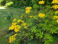 IMG_20250430_161802.webp