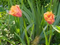 IMG_20250430_161944.jpg