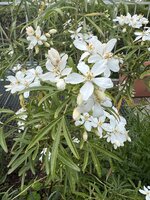 IMG_8480.jpeg