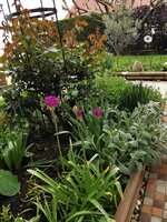IMG_20250426_122535.jpg