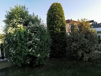 IMG_20250429_184016.jpg