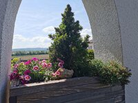 IMG_20250430_110318.jpg