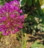 IMG_20250501_110321.jpg