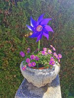 IMG_20250502_100958.jpg
