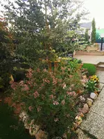 IMG_20250429_184040.webp