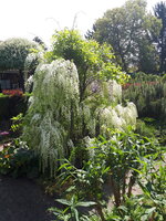 20250502_120000.jpg