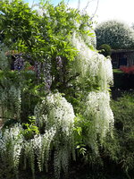 20250502_115951.jpg