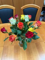 IMG_6698.jpeg