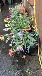IMG_4189.jpeg