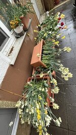 IMG_4188.jpeg