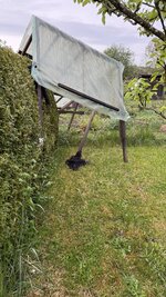 IMG_4191.jpeg