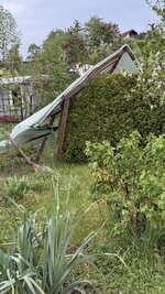 IMG_4190.jpeg