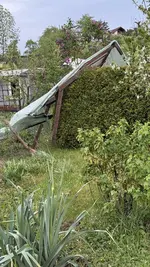 IMG_4190.jpeg