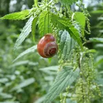 002.webp