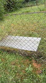 IMG_4193.jpeg