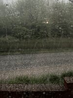 IMG_0268.JPEG