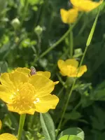 6C74E1B0-C132-47B2-B864-3A6342513E28.jpeg
