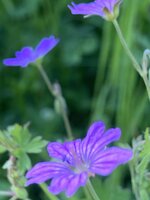 3EAB5D95-7316-42E7-B0D8-8A9E5E46FE15.jpeg