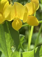 12412F1D-EA3C-41E9-B11E-9F90F9B4C915.jpeg