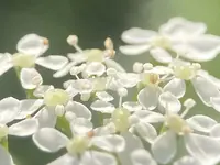 5D24B9D7-F0B4-4B81-8572-FD736EE4551B.jpeg