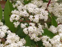 IMG_20250503_103654.webp