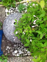 IMG_20250503_104005_1.jpg