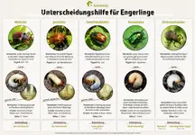 Screenshot_20250504_013225_Chrome.jpg Screenshot_20250504_013225_Chrome.jpg