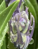 IMG_5666.JPG