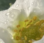 IMG_5353.JPG