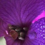 IMG_5347.JPG