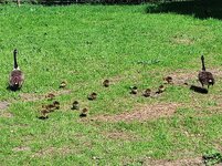 IMG_20250503_114714.jpg