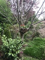 4C251E3A-4C63-4AEA-A862-18E55D58CF54.jpeg
