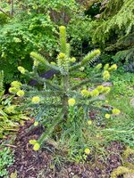 IMG_6737.jpeg
