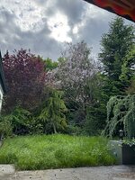 IMG_6732.jpeg