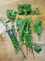 IMG_20250504_093635.webp