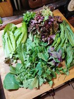 IMG_20250505_175742.jpg
