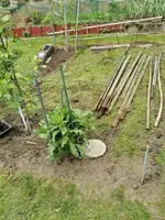 IMG_20250505_154600.webp