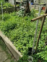 IMG_20250505_125911.webp