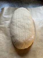 IMG_0237.jpeg