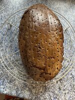 IMG_0238.jpeg