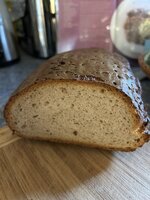 IMG_0239.jpeg