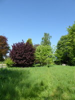 P1070810Übersicht.JPG